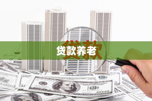 和静贷款养老