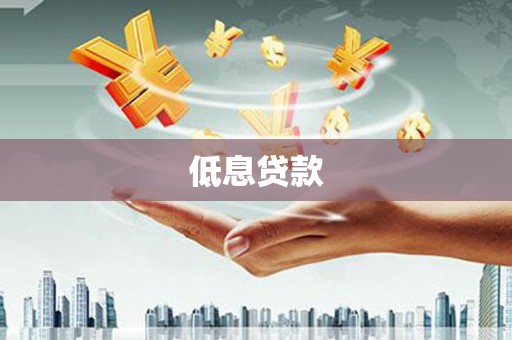 和静低息贷款
