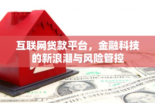 和静互联网贷款平台，金融科技的新浪潮与风险管控