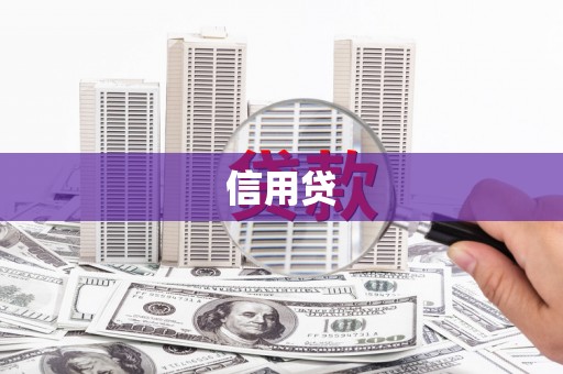 和静信用贷