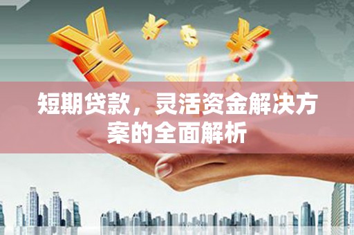 和静短期贷款，灵活资金解决方案的全面解析
