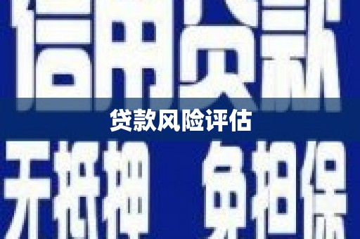 和静贷款风险评估