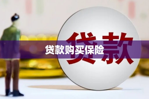 和静贷款购买保险