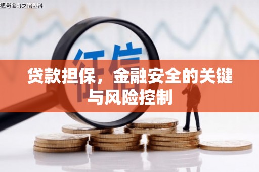 和静贷款担保，金融安全的关键与风险控制