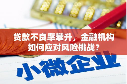 和静贷款不良率攀升，金融机构如何应对风险挑战？