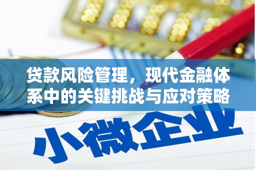 和静贷款风险管理，现代金融体系中的关键挑战与应对策略