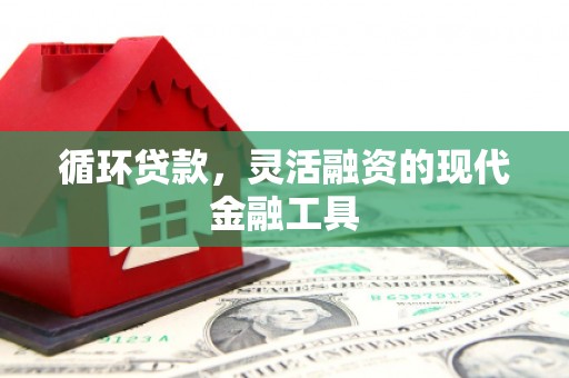 和静循环贷款，灵活融资的现代金融工具