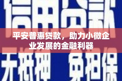 和静平安普惠贷款，助力小微企业发展的金融利器
