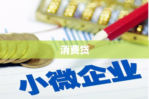 和静消费贷