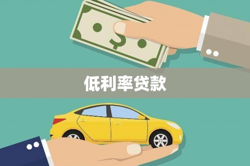 和静低利率贷款