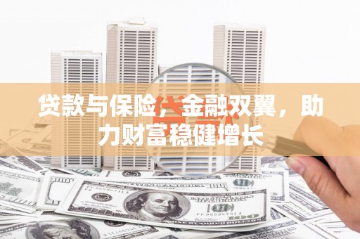 和静贷款与保险，金融双翼，助力财富稳健增长