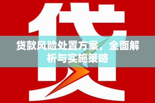 和静贷款风险处置方案，全面解析与实施策略