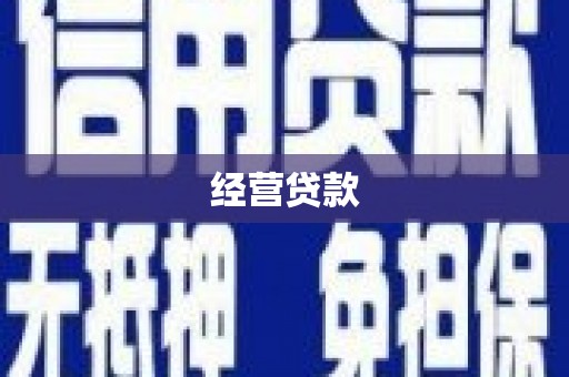 和静经营贷款