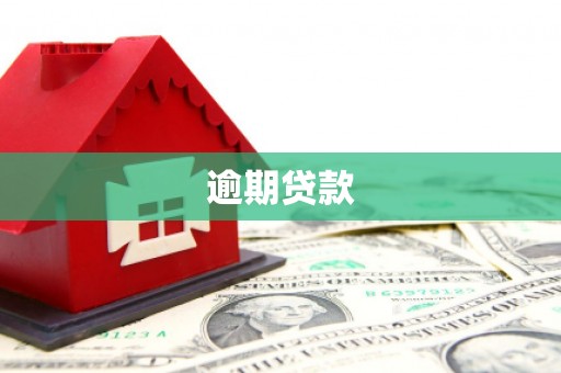 和静逾期贷款