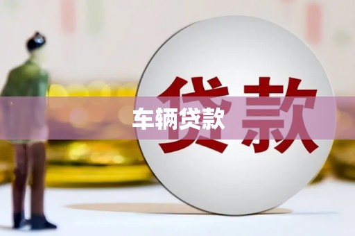 和静车辆贷款