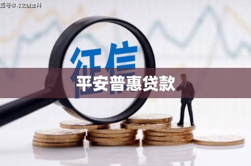 和静平安普惠贷款