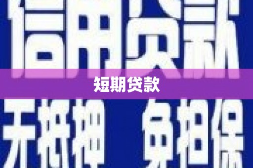 和静短期贷款